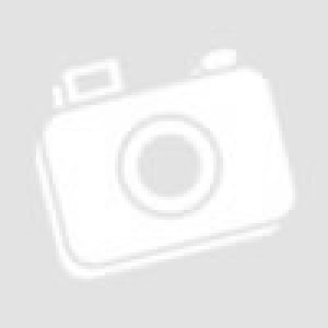 2GBps PCI-X LC Fibre Channel Adapter (Type 5704)